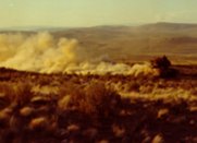 M60A1 Tank Desert Dust Trails